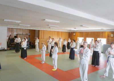 Praxis des gewaltfreien Aikido