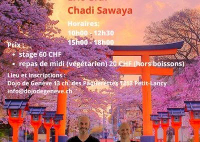 Japanisches Yoga Seminar, 25. November, Genf