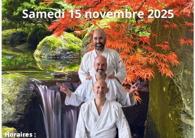 Aikido Seminar in Genf, 15. November